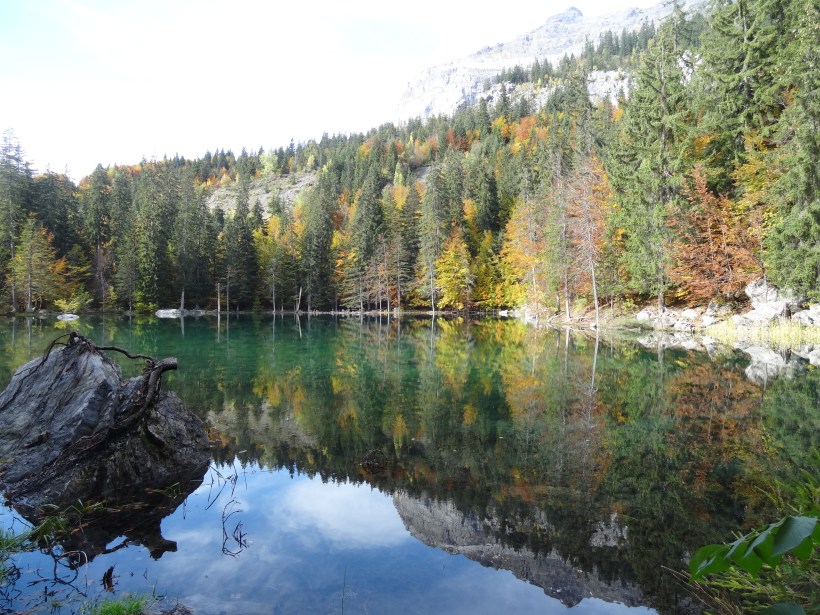 Autumn reflections at Lac Vert, Plaine Joux, Chamonix