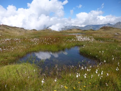Secret hidden lakes!