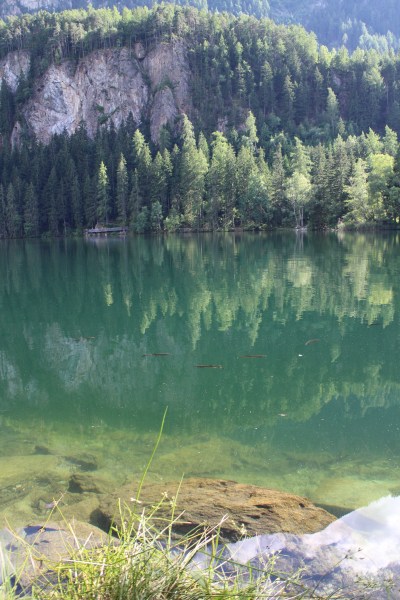 The water is a lovely temperature, and the fish are very friendly!