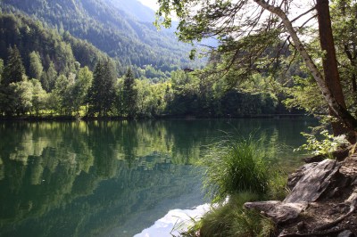 Stunning reflections