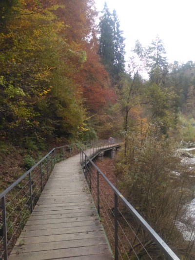 thumb_img_20161025_125132_1024