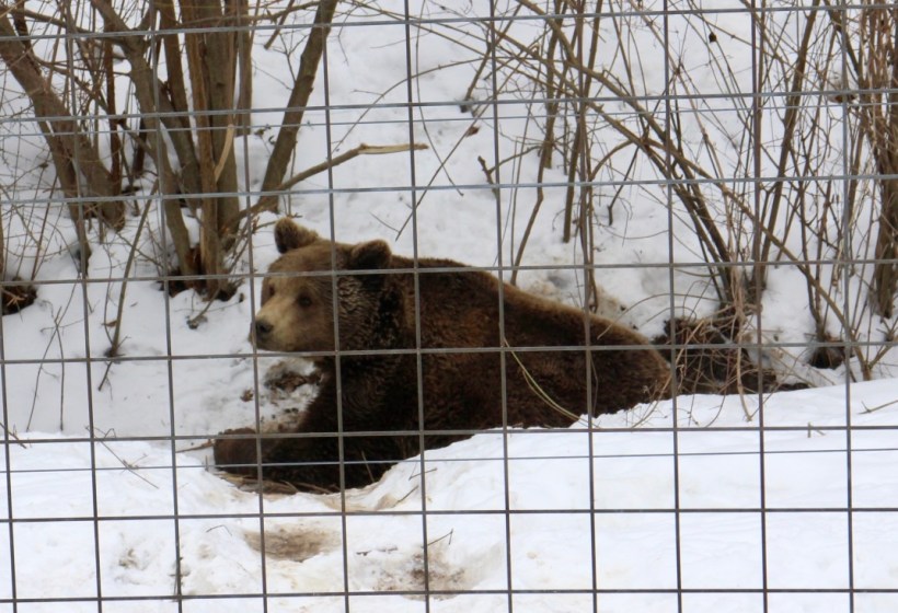 thumb_vjZHZEGYRRO6Mv5XtR+1Dg_thumb_8035_1024